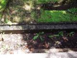 image of grave number 499077
